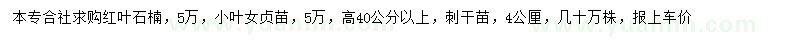 求购高40公分以上红叶石楠、小叶女贞