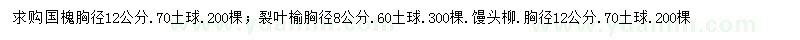 求购国槐、裂叶榆、馒头柳