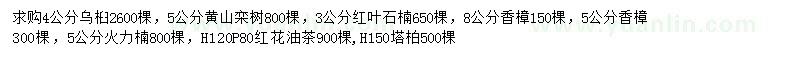 求购乌桕、黄山栾树、红叶石楠等