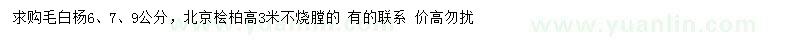 求购6、7、9公分毛白杨、高3米北京桧