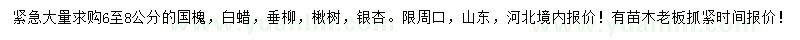 求购国槐、白蜡、垂柳等