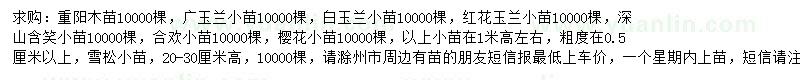 求购重阳木苗、广玉兰小苗、白玉兰小苗等