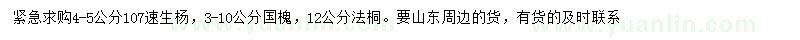 求购107速生杨、国槐、法桐