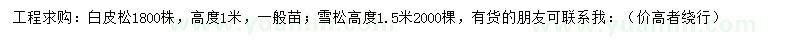 求购高1米白皮松、1.5米雪松