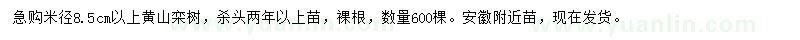 求购米径8.5公分以上黄山栾