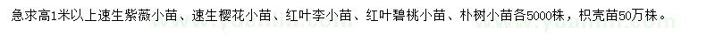 求购速生紫薇、速生樱花、红叶李小苗等