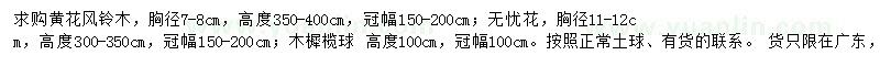 求购黄花风铃木、无忧花、木樨榄