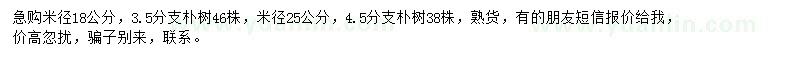 求购米径18、25公分朴树