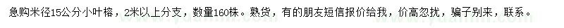 求购米径15公分小叶榕