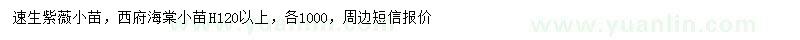 求购高120以上速生紫薇、西府海棠小苗