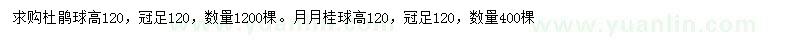 求购高120杜鹃球、月月桂