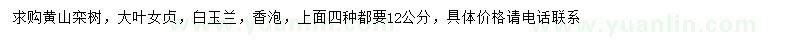 求购黄山栾树、大叶女贞、白玉兰等