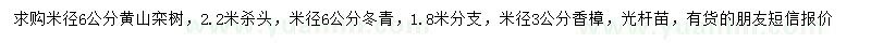 求购米径6公分黄山栾树、冬青
