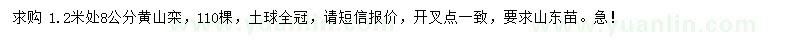 求购1.2米处量8公分黄山栾树