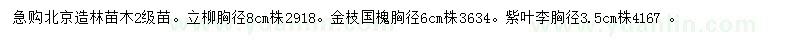 求购立柳、金枝国槐、紫叶李