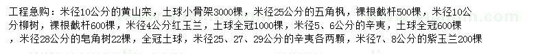 求购黄山栾树、五角枫、柳树等