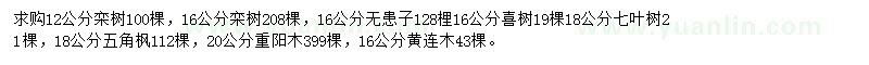 求购栾树、无患子、喜树等