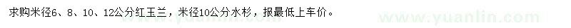 求购米径6、8、10、12公分红玉兰、米径10公分水杉