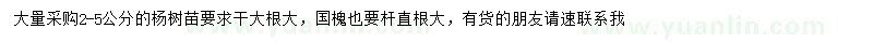 求购2-5公分杨树、国槐