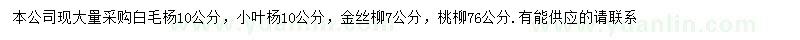 求购白毛杨、小叶杨、金丝柳等
