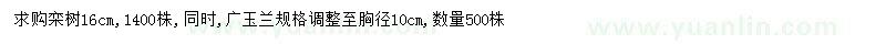 求购16公分栾树、胸径10公分广玉兰