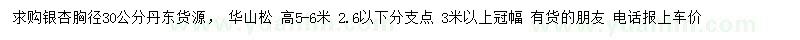 求购胸径30公分银杏、高5-6米华山松