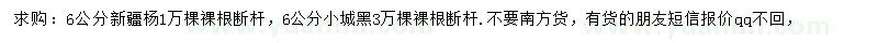 求购6公分新疆杨、小城黑