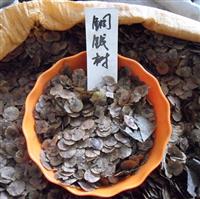 低价出售糖槭种子，铁树、铁树种子、铜钱树种子，天竺桂种子等