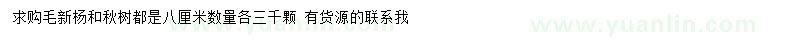 求购8公分毛新杨、楸树