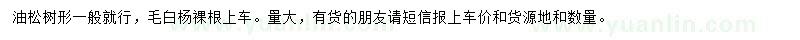 求购2.5米油松、6、8、10毛白杨