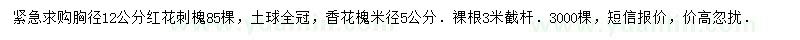 求购胸径12公分红花刺槐、米径5公分香花槐