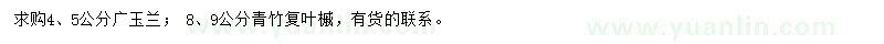 求购4、5公分广玉兰、8、9公分青竹复叶槭