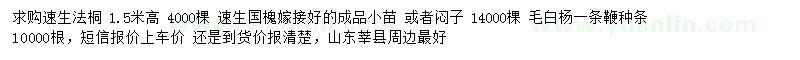 求购速生法桐、速生国槐、毛白杨