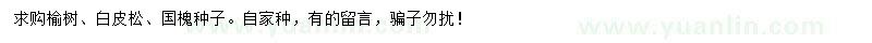 求购榆树、白皮松、国槐种子