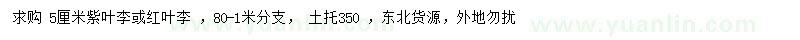 求购5公分紫叶李、红叶李