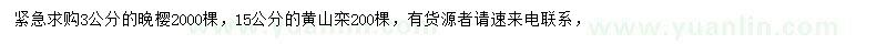 求购3公分晚樱、15公分黄山栾树