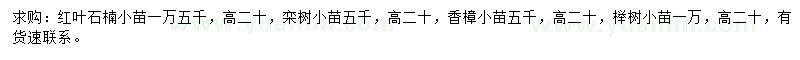 求购红叶石楠、 栾树、香樟小苗 等