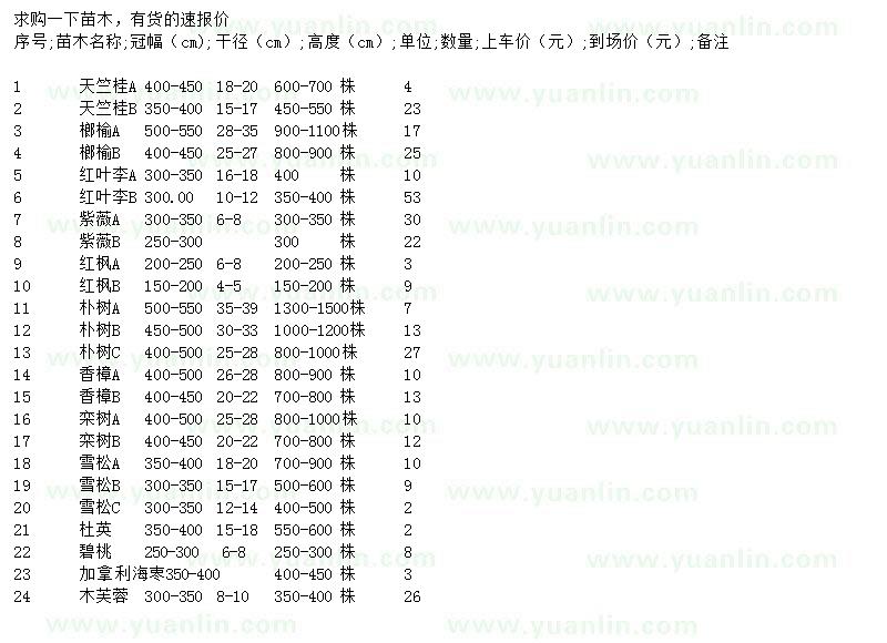 求购天竺桂、榔榆、红叶李等