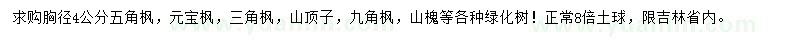 求购五角枫、元宝枫、三角枫等