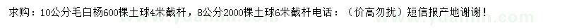 求购8、10公分毛白杨