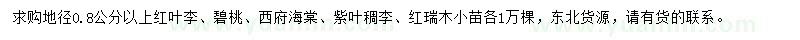 求购红叶李、碧桃、西府海棠小苗等