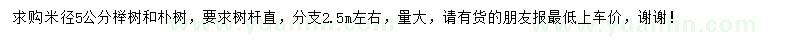 求购5公分榉树、朴树