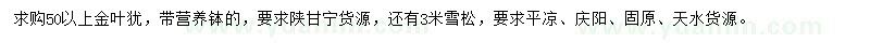 求购50公分以上营养钵金叶犹、3米雪松