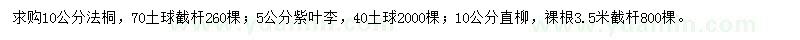 求购法桐、紫叶李、直柳