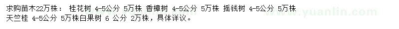 求购桂花树、香樟树、摇钱树等