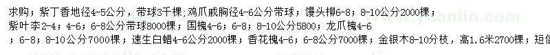 求购紫丁香、鸡爪戚、馒头柳等