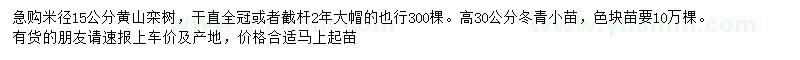 求购米径15公分黄山栾树、高30公分冬青苗