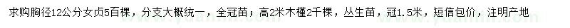 求购胸径12公分女贞、高2米木槿