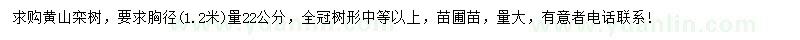 求购胸径1.2米量22公分黄山栾树