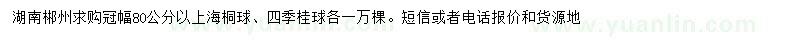 求购冠幅80公分以上海桐球、四季桂球